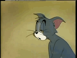 http://reho.st/gif/25875186f7879976e499eb9acc6ca76b28241ecb.gif