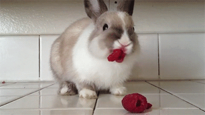 http://reho.st/gif/2a3f69dc5a34e0e7c5318af6ff72f932d62b6064.gif
