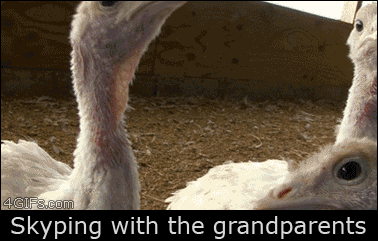 http://reho.st/gif/32ea7407ba08cc03e65bbd068c95e141a6a7664a.gif