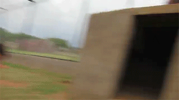 http://reho.st/gif/34f1c92a593b054e23247b29882d0dedf7a269a9.gif