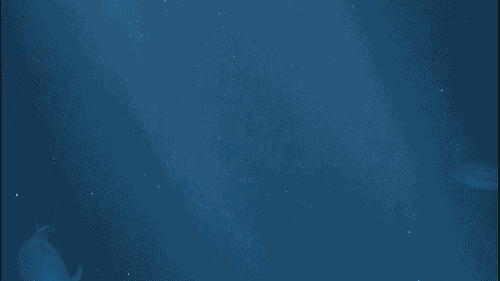 http://reho.st/gif/3983079ab6d5ebeae032b2f8072dcffaa130ce11.gif
