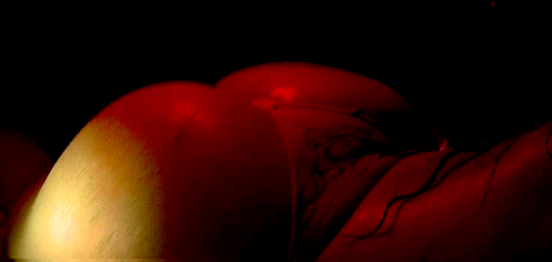 http://reho.st/gif/3e8464f0e4ea39c5ab43277830b36fa38599752a.gif