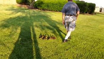 http://reho.st/gif/41c6af0af2268f3ac84d586106313d16bea747e7.gif
