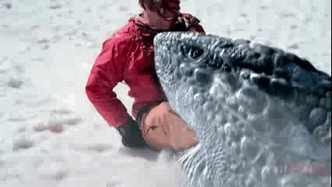 http://reho.st/gif/464ff23b38db4c97dce9f51d8f2467fe5b803809.gif