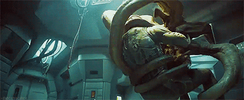 http://reho.st/gif/46748ed20d07156dc86c5401519752cd6cf69632.gif
