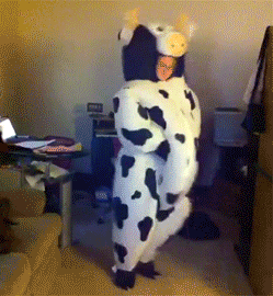 http://reho.st/gif/470a937defa5e3ee0771cf907a777f75629c8ee5.gif