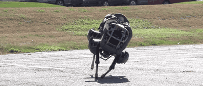 http://reho.st/gif/470d74277c1cba266b3b778168ebf10508fff212.gif