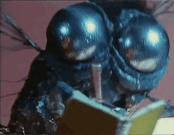 http://reho.st/gif/4af00db70ba3197880e916a0db159da72e05e524.gif