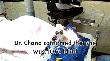 http://reho.st/gif/4d1627b26edea40ace69214489b1df87489c5930.gif