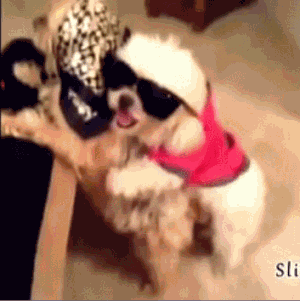 http://reho.st/gif/51f4c623795d567100dfd761cf0f48f782dd3937.gif