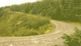 http://reho.st/gif/56869bbc7641b23afd2b0440d82711457dcadbb1.gif