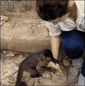http://reho.st/gif/577b4bb974e7e6cbc5b6370bc79ad80ebac45fa0.gif