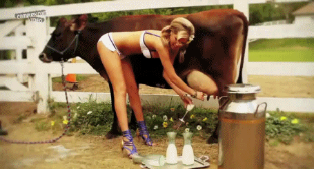 http://reho.st/gif/5831dc1b236836f02eda0dedcca8a5ec610e0b16.gif