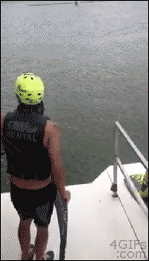 http://reho.st/gif/5840214efacca553a2db217e51d14fc3458ae5b4.gif