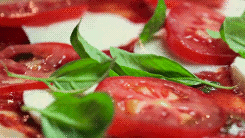 http://reho.st/gif/59e26da7ed4062dac9bacff6f001955fc4b8ac6b.gif