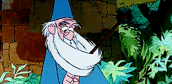 http://reho.st/gif/5fc8247f4f0cf2964b856272eef9dd625590e799.gif