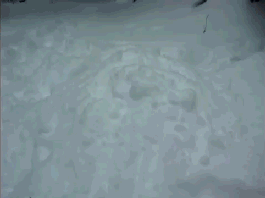 http://reho.st/gif/618195ffaa20e13fd76fa8ba697bcd0edcd32aa6.gif