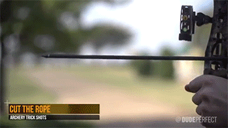 http://reho.st/gif/619378fbedb0f28a3ea94a26fe4e4850b13c5478.gif