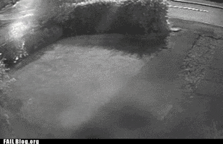 http://reho.st/gif/656a26f70fe213f8b3591ede91f9a46baba53c1f.gif