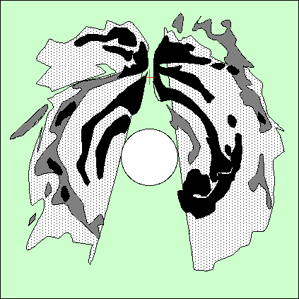 http://reho.st/gif/658a5740f6117b7248c968f6604de1c7b654c0a7.gif