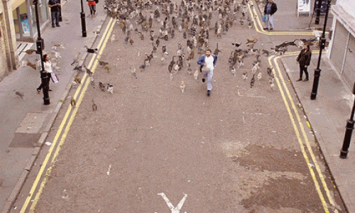 http://reho.st/gif/66e242b1687c18eabfccd91524eb125b5d8fb2ff.gif