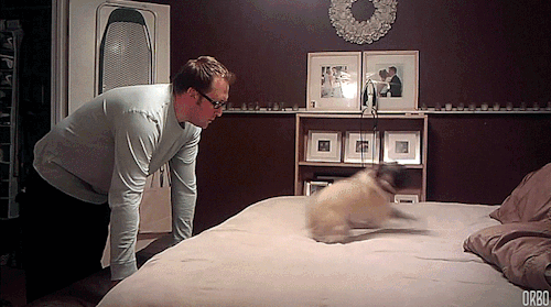 http://reho.st/gif/68c0e2011ded550098b555a4b0316cfea6a1741b.gif