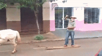 http://reho.st/gif/6b20ace706ddbe232227fe317c8acacfa5f97173.gif
