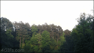 http://reho.st/gif/6edd125968d0516647b4ec58e67e69e464d638ac.gif