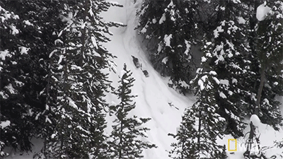 http://reho.st/gif/6ff30904f3e156472997c0e67d441d0d37416624.gif