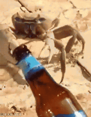 http://reho.st/gif/70a692b369aedc5dfcb83f954971340a7bfbb97c.gif