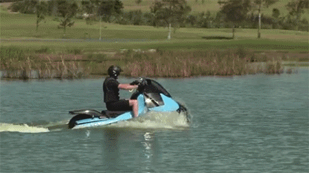 http://reho.st/gif/71f8e1e0de4c0967e2190a0faceac3d1bd8bd308.gif
