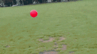 http://reho.st/gif/729af4bbd106b1b6b7a8bc10c2ca98185d64d668.gif