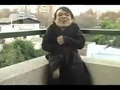http://reho.st/gif/73e969695ee888509403969bc6974d10ddb95fa8.gif