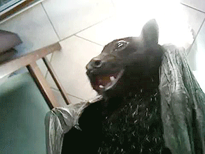 http://reho.st/gif/7509fee5794b30aff1fcc939a3936d51c8d2cfe4.gif