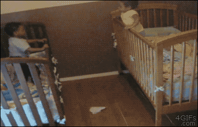 http://reho.st/gif/75140286d3604ab051d6fe0113be3ca22e73add7.gif