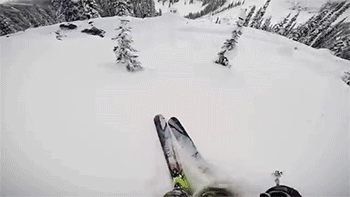 http://reho.st/gif/76ebb88d5467b3fdff580029f3c1c2154cf0ab8a.gif