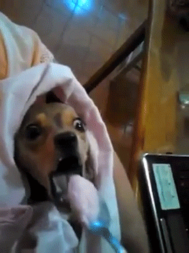 http://reho.st/gif/76f8f7bd6d25d438b402657dc52cf0d35c0d1fdd.gif