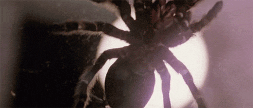 http://reho.st/gif/77cbf1d71a4e2a695567ce3c613affa8d8a6cff3.gif