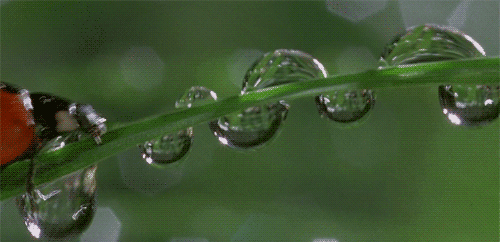 http://reho.st/gif/787578e363821560947ee2b3e9036327b793973a.gif
