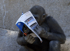 http://reho.st/gif/7cfedf3804427f3b376cddb686880b508ea9c6b6.gif