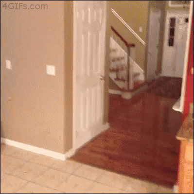 http://reho.st/gif/7e9ab2616108fd470980be2aa9c094146a8f73f6.gif