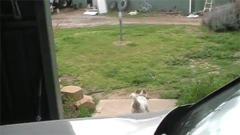 http://reho.st/gif/7eee450ab5d546ae9b413366e75c66b096d9aa7b.gif