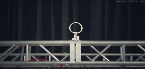 http://reho.st/gif/806bbf21a58f017f85717ccf9d73eccb08b21dc6.gif