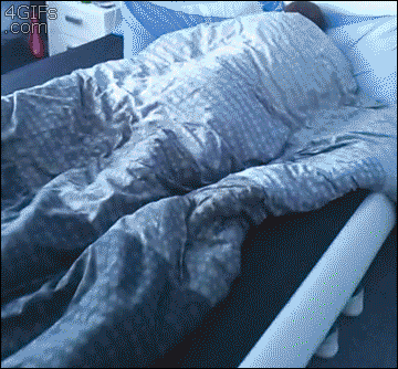 http://reho.st/gif/811fb031ba7af8b68312dceb8cc0619f52da464e.gif