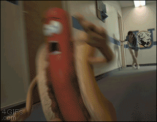 http://reho.st/gif/83ed97cd02a3b7d68ad7454d3e6517eac819fb6a.gif