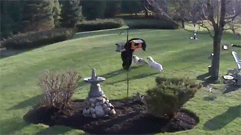 http://reho.st/gif/8530d1c85a11dea93d98578a09907b6f29a128d9.gif