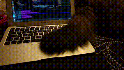 http://reho.st/gif/85fa2207067c4217d0dc46a2ec177c6ba81bb9a1.gif