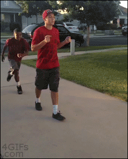 http://reho.st/gif/8bb7c86ec2912d478da394b50aeb79b16f91af06.gif