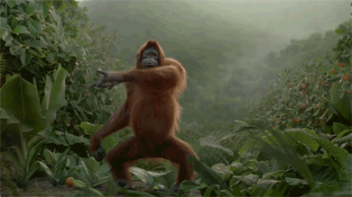 http://reho.st/gif/8d5fc70dadb2dd5745871edaa5444455c4062b1f.gif
