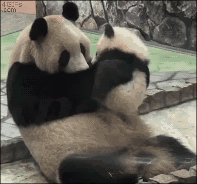 http://reho.st/gif/8de1c8393f7b00259832af1173492db91f17ee99.gif